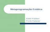 Metaprogramação Estática André Knabben Pricilla Padaratz.