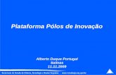 Plataforma Pólos de Inovação Alberto Duque Portugal Salinas 11.11.2009.