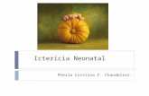 Icterícia Neonatal Pherla Cristina F. Chandelier..