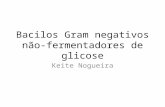 Bacilos Gram negativos não- fermentadores de glicose Keite Nogueira.