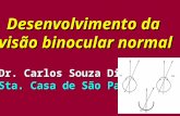 Desenvolvimento da Desenvolvimento da visão binocular normal Dr. Carlos Souza Dias Sta. Casa de São Paulo.