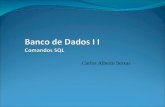 Carlos Alberto Seixas. Agenda Revisão SQL Comandos Práticas.