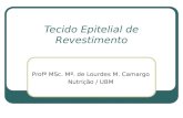 Tecido Epitelial de Revestimento Profª MSc. Mª. de Lourdes M. Camargo Nutrição / UBM.