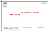 INTERPOLADOR BILINEAR Grupo: Arthur Bicalho; Geraldo Sávio ; Guilherme Milagres ; Kelly Pires Mariana Resende.