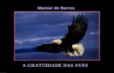 Manoel de Barros A GRATUIDADE DAS AVES Sempre que a gratuidade pousa em minhas palavras, elas são abençoadas por pássaros e por lírios.