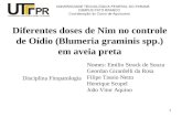 1 Diferentes doses de Nim no controle de Oídio (Blumeria graminis spp.) em aveia preta Nomes: Emilio Strack de Souza Geordan Girardelli da Rosa Filipe.