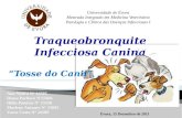 “Tosse do Canil” Universidade de Évora Mestrado Integrado em Medicina Veterinária Patologia e Clínica das Doenças Infecciosas I Ana Seatra Nº 24505 Diana.