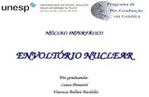 Programa de Pós-Graduação em Genética NÚCLEO INTERFÁSICO ENVOLTÓRIO NUCLEAR Pós-graduanda: Leiza Penariol Vanessa Bellini Bardella Vanessa Bellini Bardella.