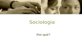 Sociologia Por quê?. Definição e Âmbito da Sociologia Ciência que estuda o comportamento humano, os meios de comunicação e os processos que interligam.
