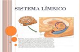 S ISTEMA L ÍMBICO. responsável pelo processamento das emoções, memória e aprendizagem emoções: componente subjetivo e comportamento emocional.
