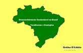 21 de Janeiro de 2003 Desenvolvimento Sustentável no Brasil Tendências e Exemplos.