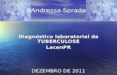 Andressa Sprada Diagnóstico laboratorial da TUBERCULOSE LacenPR DEZEMBRO DE 2011.