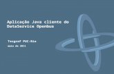 Tecgraf PUC-Rio maio de 2011 Aplicação Java cliente do DataService Openbus.