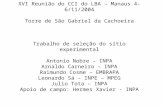XVI Reunião do CCI do LBA – Manaus 4-6/11/2004 Torre de São Gabriel da Cachoeira Trabalho de seleção do sítio experimental Antonio Nobre – INPA Arnaldo.