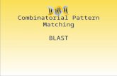 Combinatorial Pattern Matching BLAST. Tópicos Introdução Repetições Gênicas Combinatorial Pattern Matching – Exact Pattern Matching – Approximate Pattern.