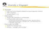 Usando o Voyager zVoyager ymais que uma simples plataforma para agentes móveis yORB completo yversão atual = 3.1 zInstalação yrequer JDK instalado e configurado.