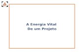 A Energia Vital De um Projeto. A Energia Vital de um Projeto Cada projeto demandará uma combinação única de recursos: tipo, qualidade e volume; Alguns.