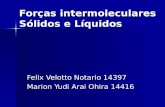 Forças intermoleculares Sólidos e Líquidos Felix Velotto Notario 14397 Marion Yudi Arai Ohira 14416.