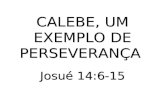 CALEBE, UM EXEMPLO DE PERSEVERANÇA Josué 14:6-15.