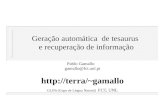 Geração automática de tesaurus e recuperação de informação Pablo Gamallo gamallo@fct.unl.pt gamallo GLINt (Gupo de Lingua Natural) FCT, UNL.