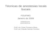 Técnicas de anestesias locais bucais FOUFMG Janeiro de 2009 Prof Luiz César Fonseca Alves Prof Luiz Cláudio Noman Ferreira Adaptada para teleconferência.