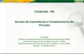 COGEMAS - PR Serviço de Convivência e Fortalecimento de Vínculos COGEMAS - PR Serviço de Convivência e Fortalecimento de Vínculos Lea Braga Diretora do.