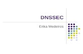 DNSSEC Erika Medeiros. DNS – Domain Name System O Sistema de Nomes de Domínio é um banco de dados distribuido. Isso permite um controle local dos segmentos.