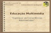 Vitor Barrigão Gonçalves, 2001 “Espicaçar as Consciências Adormecidas” Educação Multimédia Escola Superior de Educação Instituto Politécnico de Bragança.