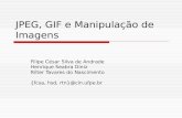 JPEG, GIF e Manipulação de Imagens Filipe César Silva de Andrade Henrique Seabra Diniz Rilter Tavares do Nascimento {fcsa, hsd, rtn}@cin.ufpe.br.