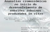 Anomalias cromossômicas no início do desenvolvimento de embriões zebuínos produzidos in vitro RITA MARIA LADEIRA PIRES2, RAFAEL HERRERA ALVAREZ2, ANA CRISTINA.
