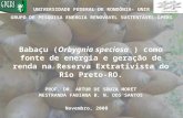 UNIVERSIDADE FEDERAL DE RONDÔNIA- UNIR GRUPO DE PESQUISA ENERGIA RENOVAVEL SUSTENTÁVEL-GPERS PROF. DR. ARTUR DE SOUZA MORET MESTRANDA FABIANA B. N. DOS.