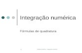Análise Numérica - Integração numérica 1 Integração numérica Fórmulas de quadratura.