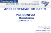 APRESENTAÇÃO DO GEFIN Pré-CONFAZ Rondônia Julho/2010 Célia Carvalho - MG Presidente Augusto Monteiro –BA Coordenador Executivo.
