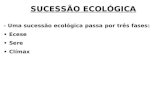 SUCESSÃO ECOLÓGICA - Uma sucessão ecológica passa por três fases: Ecese Sere Clímax.