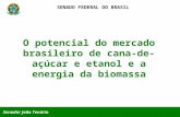 SENADO FEDERAL DO BRASIL Senador João Tenório O potencial do mercado brasileiro de cana-de-açúcar e etanol e a energia da biomassa.