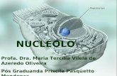 NUCLÉOLO Profa. Dra. Maria Tercília Vilela de Azeredo Oliveira Pós Graduanda Priscila Pasqüetto Mendonça.
