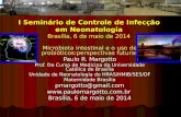 I Seminário de Controle de Infecção em Neonatologia Brasília, 6 de maio de 2014 Microbiota intestinal e o uso de probióticos:perspectivas futuras Paulo.