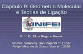 Capítulo 9: Geometria Molecular e Teorias de Ligação Prof. Dr. Élcio Rogério Barrak Nomes: Verônica Lima Magioni n° 12737 Felipe Miranda de Souza Voss.
