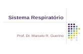 Sistema Respiratório Prof. Dr. Marcelo R. Guerino.