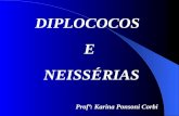 DIPLOCOCOS E NEISSÉRIAS Profª: Karina Ponsoni Corbi.