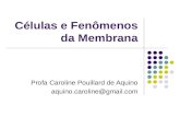 Células e Fenômenos da Membrana Profa Caroline Pouillard de Aquino aquino.caroline@gmail.com.