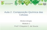 Aula 2. Composição Química das Células Biotecnologia Módulo 1 Prof.ª Chayane C. de Souza.