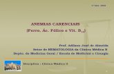 1 Disciplina : Clínica Médica II Prof. Adilson José de Almeida Setor de HEMATOLOGIA da Clínica Médica B Depto. de Medicina Geral / Escola de Medicina e.