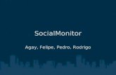 SocialMonitor Agay, Felipe, Pedro, Rodrigo. Parte RUP Detalhes.