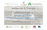Ambiente & Energia Estatísticas Energéticas Valentim M B Nunes Unidade Departamental de Engenharias Instituto Politécnico de Tomar, Setembro, 2014.