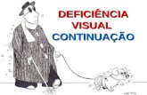 DEFICIÊNCIA VISUAL CONTINUAÇÃO. CAPACIDADE VISUAL Composta por cinco fatores: Composta por cinco fatores: Acuidade Visual Acuidade Visual Campo Visual.