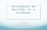 Distúrbios do Na+/H2O, K+ e Acidoses Bernardo Salgado e Gabriel Cortopassi.