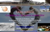 CASO CLÍNICO Coarctação da aorta sepse-like Internato em Pediatria – HRAS Escola Superior de Ciências da Saúde (ESCS)/SES/DF Apresentação: Marcela Franco.