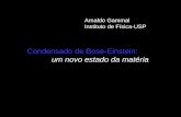 Condensado de Bose-Einstein: um novo estado da matéria Arnaldo Gammal Instituto de Física-USP.
