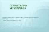 Disciplina de Clínica Médica dos Animais de Companhia UNIFESO Maria Leonora Veras de Mello.